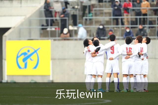 乐玩lewin公司简介